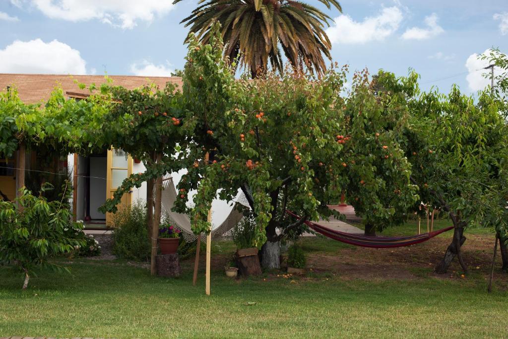 Casa Pando Bed and Breakfast Santa Cruz Exterior foto